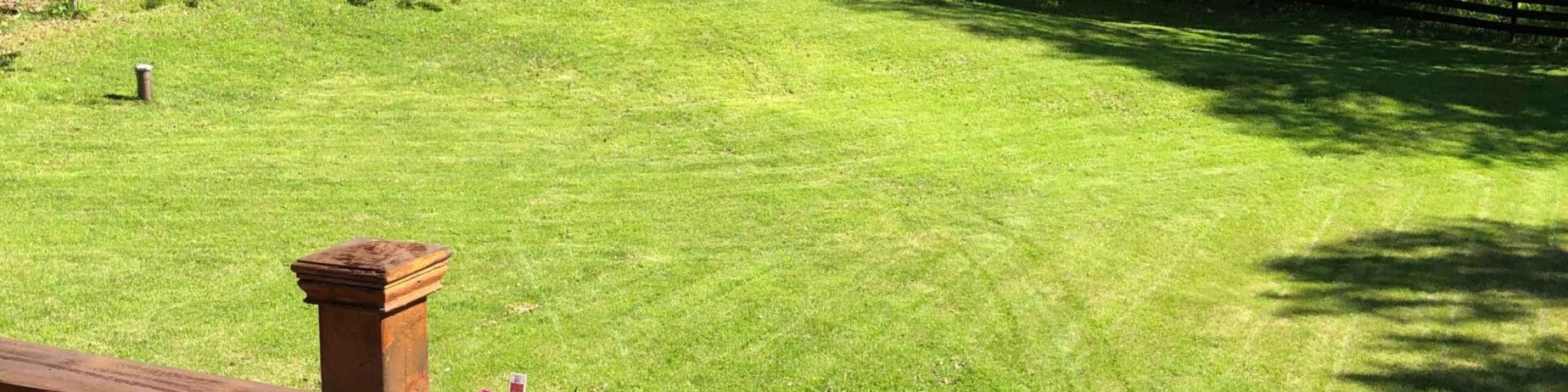 Huge backyard!